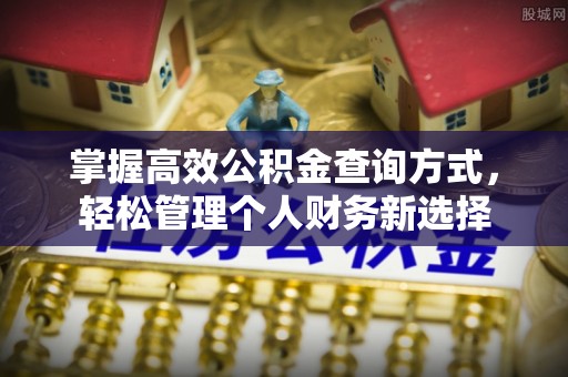 新竹掌握高效公积金查询方式，轻松管理个人财务新选择