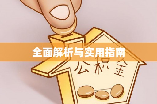 新竹全面解析与实用指南
