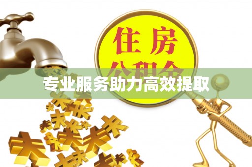 新竹专业服务助力高效提取