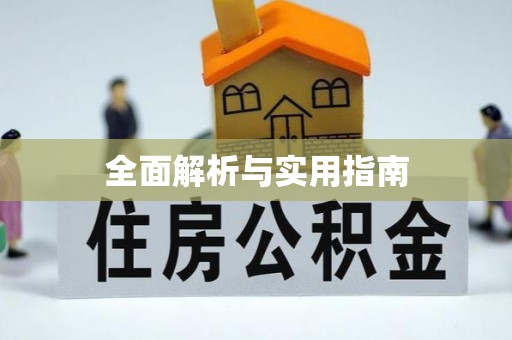 新竹全面解析与实用指南